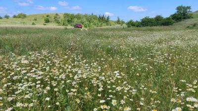 Прикрепленное изображение: IMG_20220613_103537.jpg